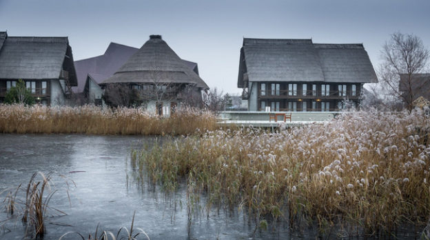 Ce Faci Iarna In Delta Dunării Top 9 Activități Pe Care Le Poți